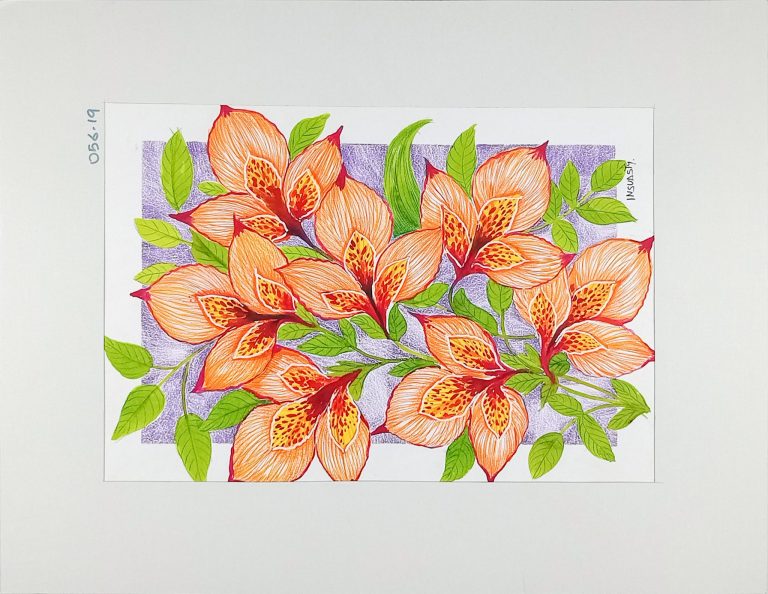 Orquideas | Giberto Insuasty