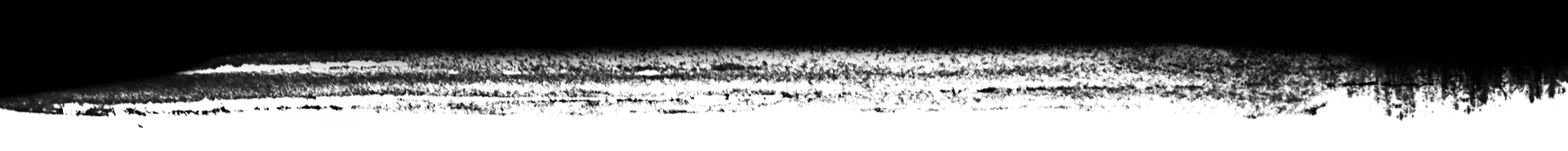 Image module