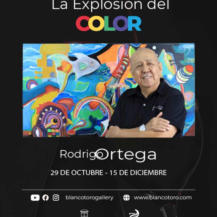 EXPLOSIÓN DEL COLOR, 2021